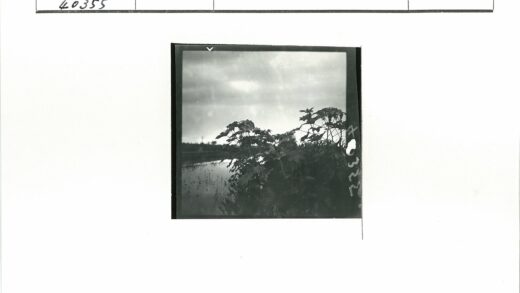 湖边密林多云天空倒影.jpg