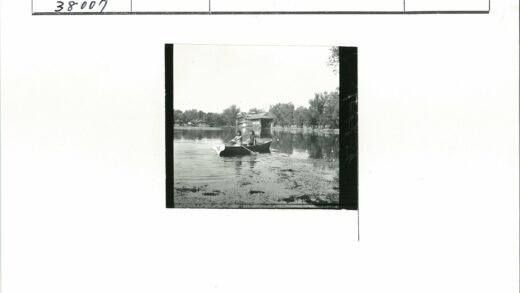 湖面泛舟小码头树影.jpg