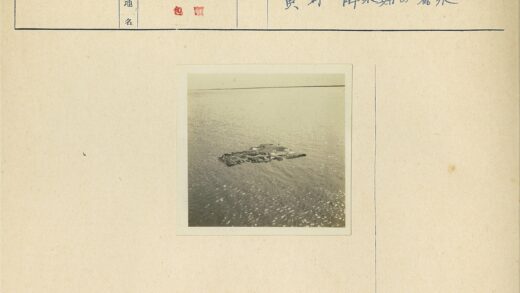 湖面漂浮圆木远景.jpg