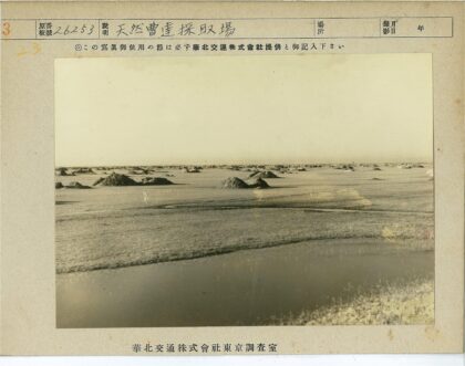 湿地草原自然景观.jpg