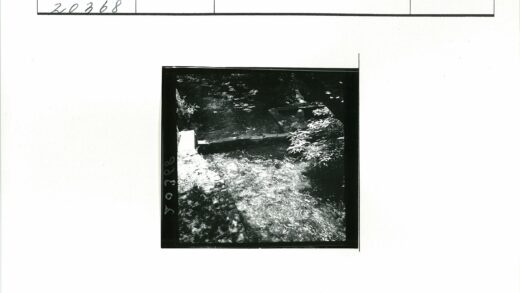 溪流石纹绿荫雕刻景观.jpg