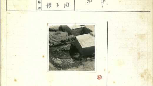 溪流砖房自然风光.jpg