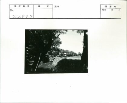 溪边树影与田园风光.jpg