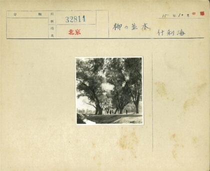 溪边绿荫散步风景.jpg
