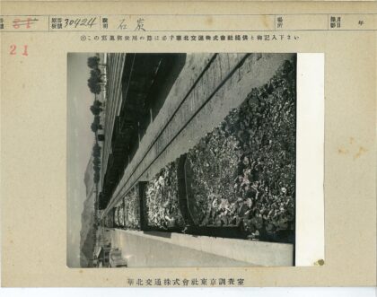 满载煤的火车与树林.jpg