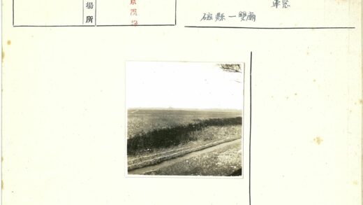 灌木丛小路与田野风光.jpg