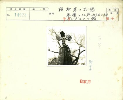 火焰纹骷髅雕像树枝背景.jpg