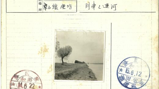 火车沿河铁路风景树电线杆.jpg