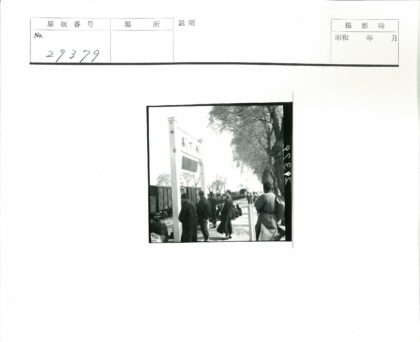 火车站台人群与林荫轨道.jpg
