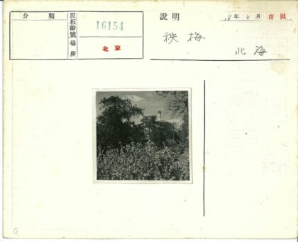 灯塔与多云天空.jpg