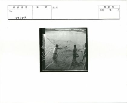 父子浅水捕鱼湖景.jpg