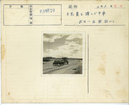 牛拉木车乡村运输场景.jpg