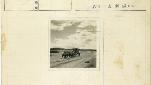 牛拉木车乡村运输场景.jpg