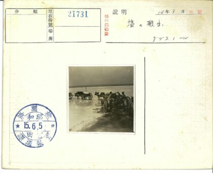 牛拉木车阴天山景.jpg