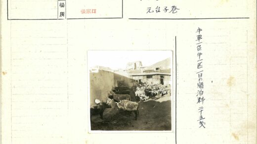 牛群围栏吃草远山晴空.jpg