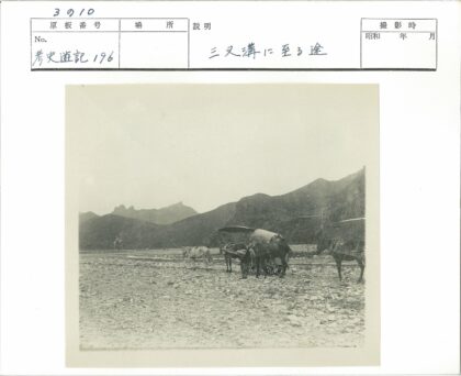 牛群拉车岩石山脉景观.jpg