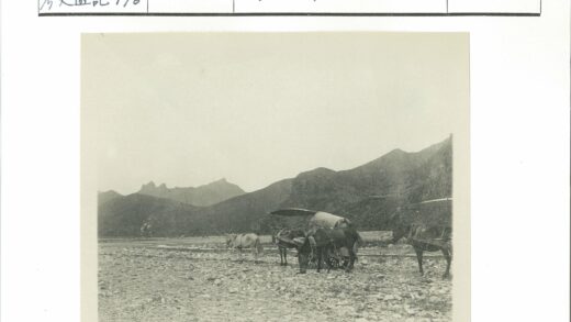 牛群拉车岩石山脉景观.jpg