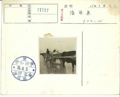 牛车拉干草过浅滩.jpg