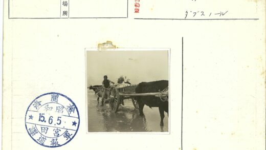 牛车拉干草过浅滩.jpg
