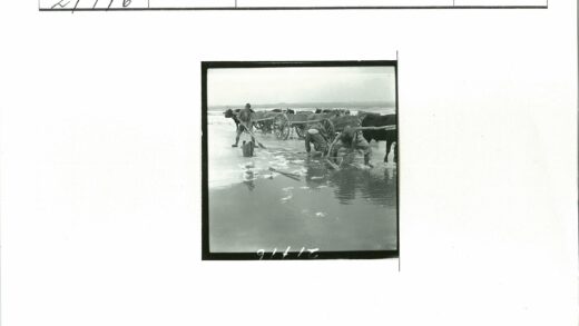 牛车旁劳作的水池边工人.jpg