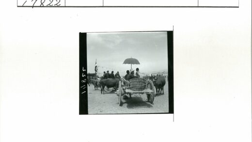 牛车旅行与田园风光.jpg