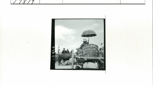 牛车旅行多云撑伞.jpg