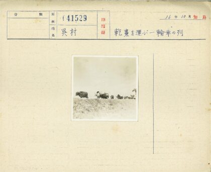 牛车泥路运输货物.jpg