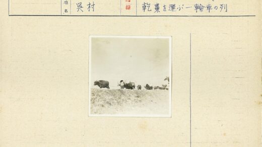 牛车泥路运输货物.jpg