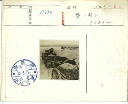 牛车满载货物行驶在平原远山背景下.jpg
