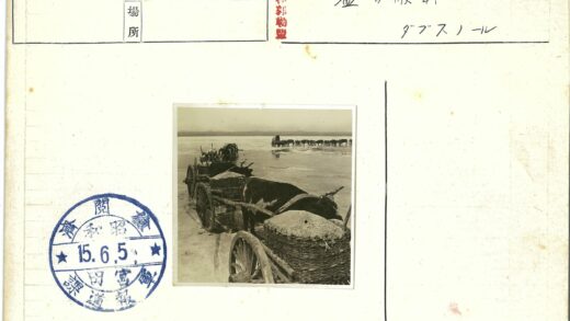 牛车满载货物行驶在平原远山背景下.jpg