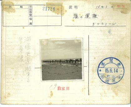 牛车穿行沙滩远山云天下.jpg
