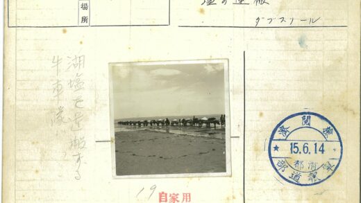 牛车穿行沙滩远山云天下.jpg