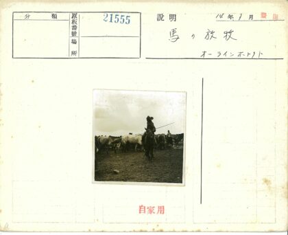 牧人驱赶牛群.jpg