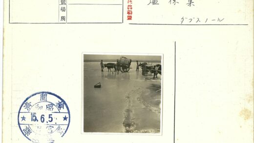 牧民推牛车过盐湖远山.jpg