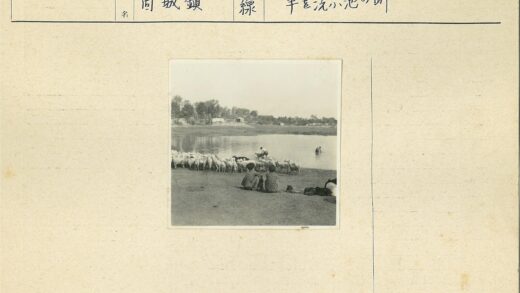 牧童与羊群的田园时光.jpg