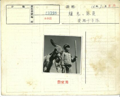 牧童与驴的晴空时光.jpg