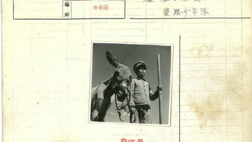 牧童与驴的晴空时光.jpg