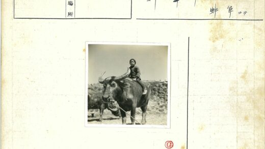牧童骑牛田野风光.jpg