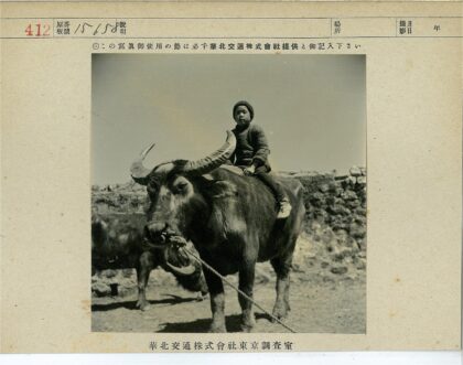 牧童骑牛石墙背景.jpg