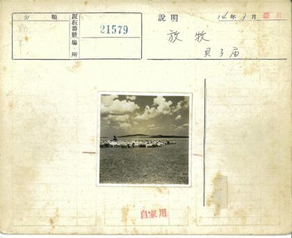 牧羊人与羊群的山野风光.jpg