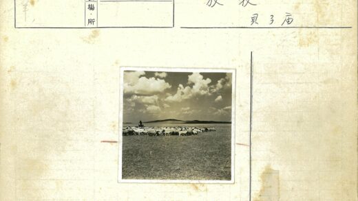牧羊人与羊群的山野风光.jpg
