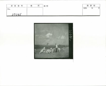 牧羊人与羊群远景建筑.jpg