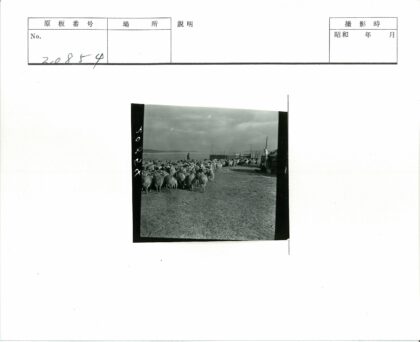 牧羊人与贫瘠水岸.jpg