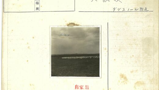 牧羊人与马在丘陵草地.jpg