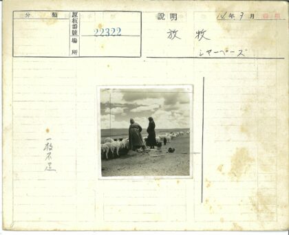 牧羊人在草原放牧.jpg