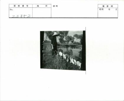 牧羊人池塘边自然风光.jpg