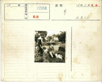 牧羊人观羊群湖畔.jpg