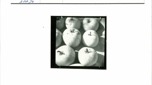 特写红苹果老照片.jpg