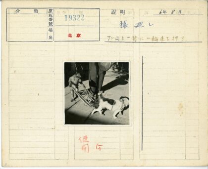 狗拉小车与猴子人行道.jpg