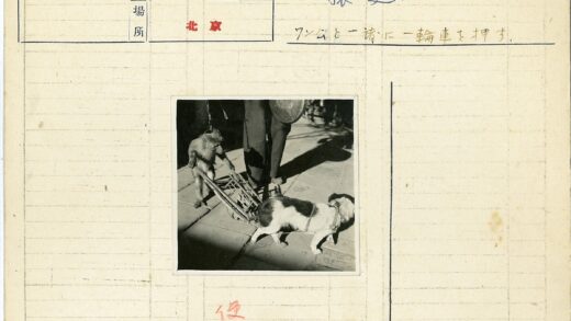狗拉小车与猴子人行道.jpg
